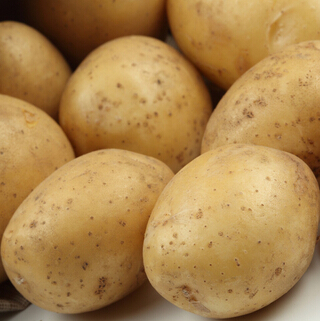 土豆的功效與作用 女人美容瘦身的選擇