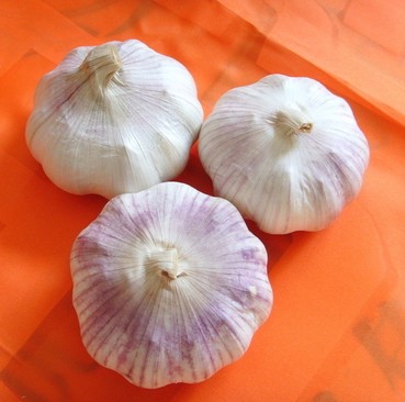 美容養(yǎng)顏的食物 4大臭味食物美容養(yǎng)生效果好