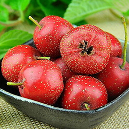 吃什么美容養(yǎng)顏 難吃 食物大盤點