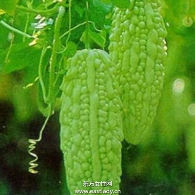 苦瓜抗衰老有效對抗黑色素