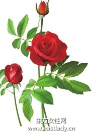 玫瑰花疏肝解郁提亮膚色