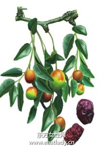 紅棗養(yǎng)血安神抗衰老