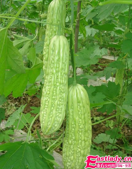 女人吃什么可以皮膚白皙 5種食物美白不煩惱