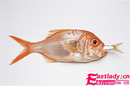 吃出好皮膚 5種對皮膚最有益食物