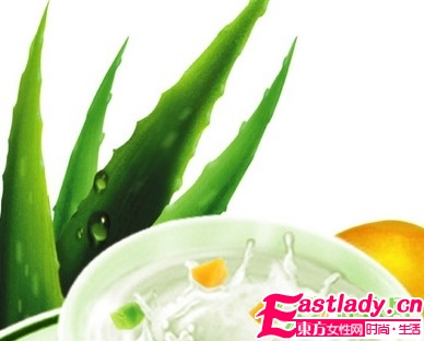 五種抗電腦輻射的植物