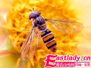 如何用蜂蜜美容護(hù)膚