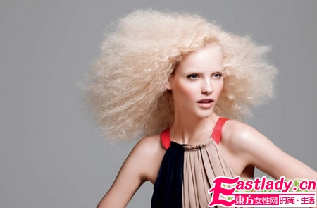 29款造型 圣誕隨心變