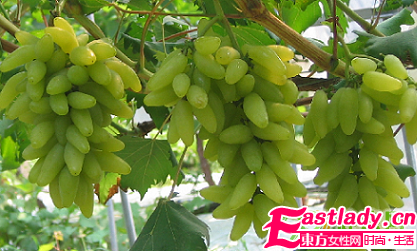 30歲后的女人如何抗衰