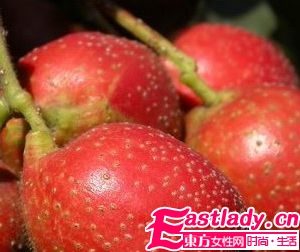 冬季必吃的幾種保濕水果