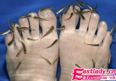 盤點(diǎn)各國恐怖的美容方法