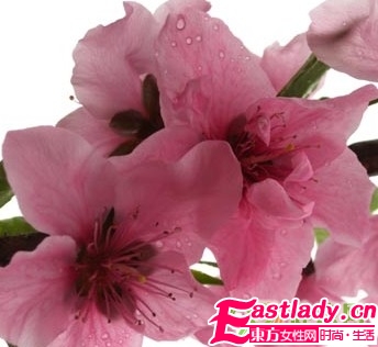 吃桃花能吃出迷人體香