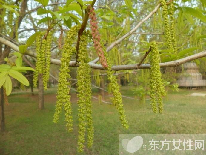 胃脹氣怎么辦 9個辦法讓你快速排氣很輕松