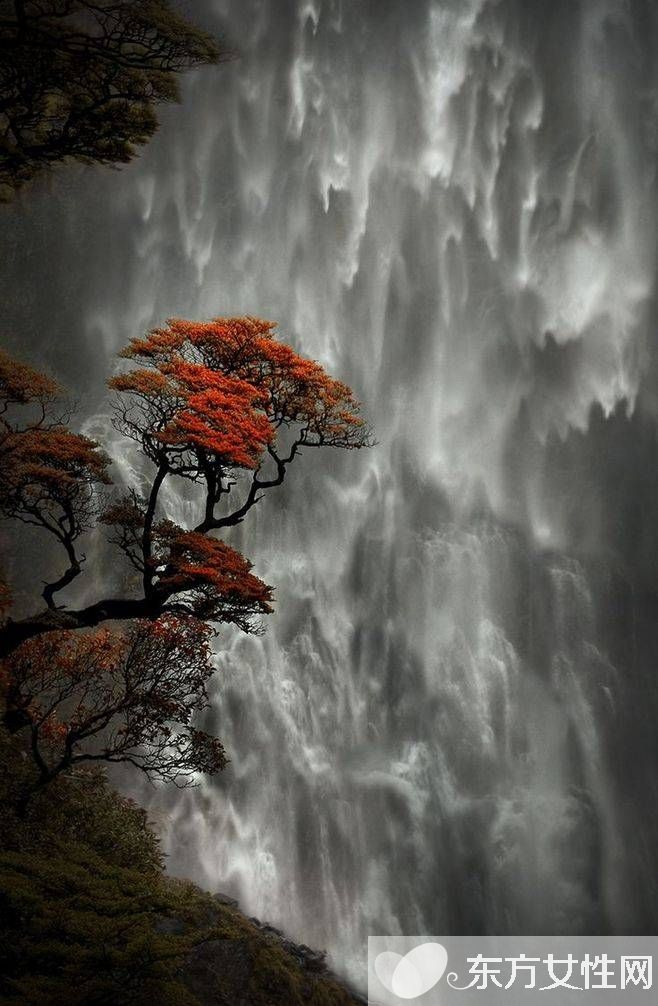 春季養(yǎng)肝食譜 多吃這些讓你健康一整年