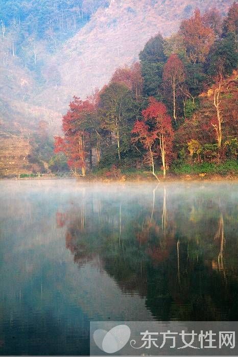 腎結(jié)石飲食要注意哪些 手術(shù)后的保養(yǎng)方法