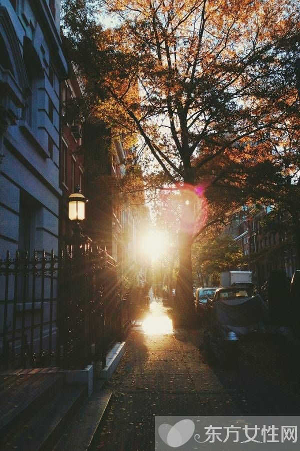 類風(fēng)濕病吃什么好 栗子適用于類風(fēng)濕腎虛