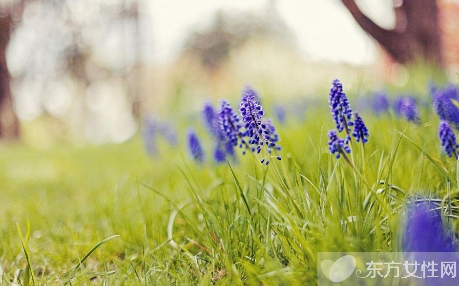 心肌炎后遺癥的三大癥狀 4種治療方法