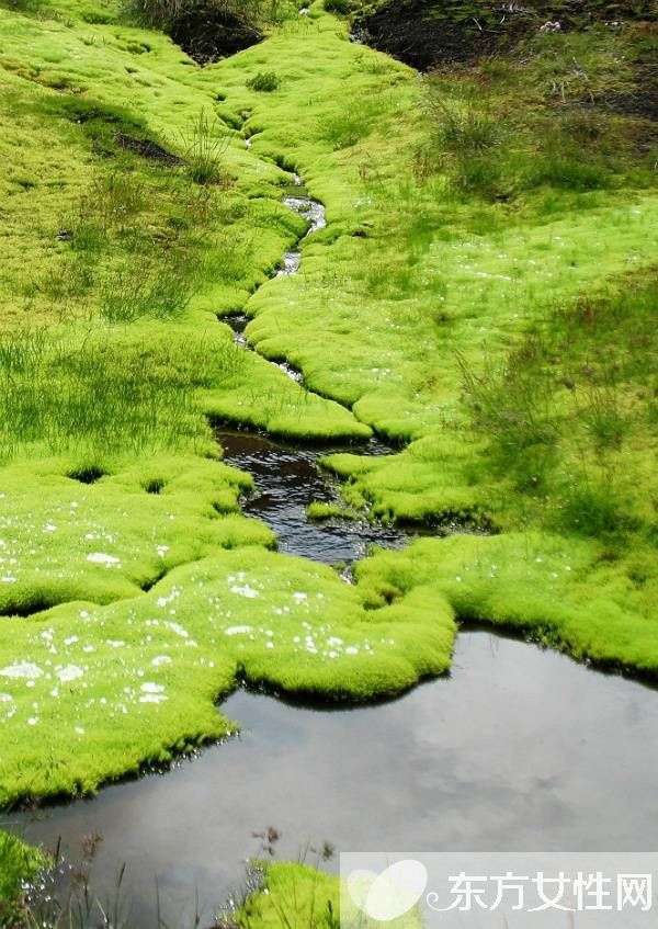 春冬換季養(yǎng)生 必吃的五款營養(yǎng)食譜