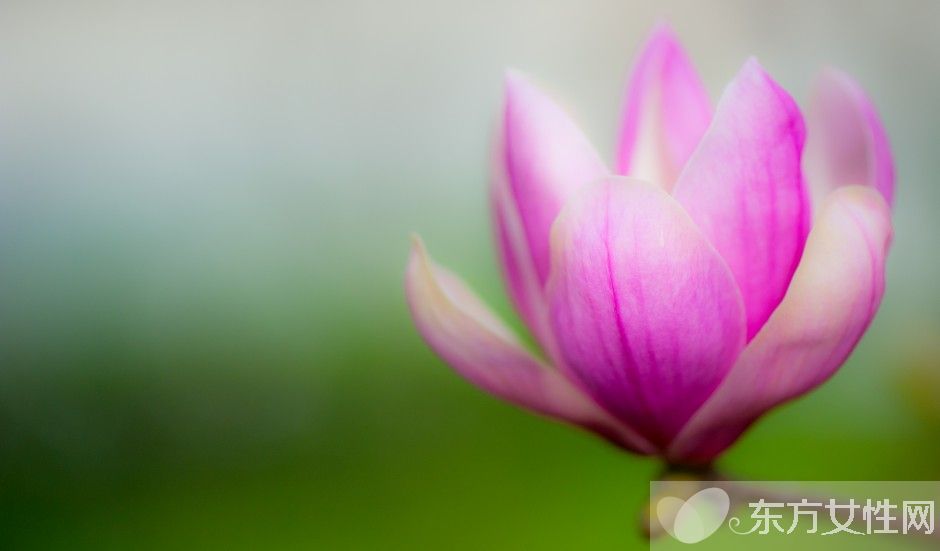 如何防御禽流感 別慌把這些辦法牢記在心