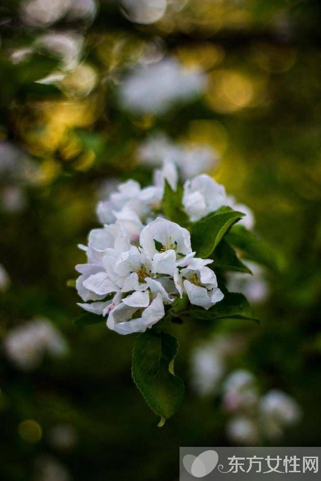 花粉過敏該如何預(yù)防 6招讓遠(yuǎn)離過敏痛苦