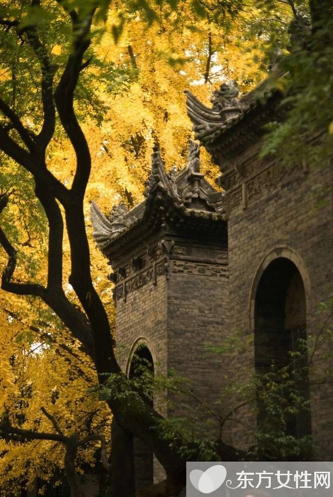 春季養(yǎng)肝食譜 多吃這些讓你健康一整年