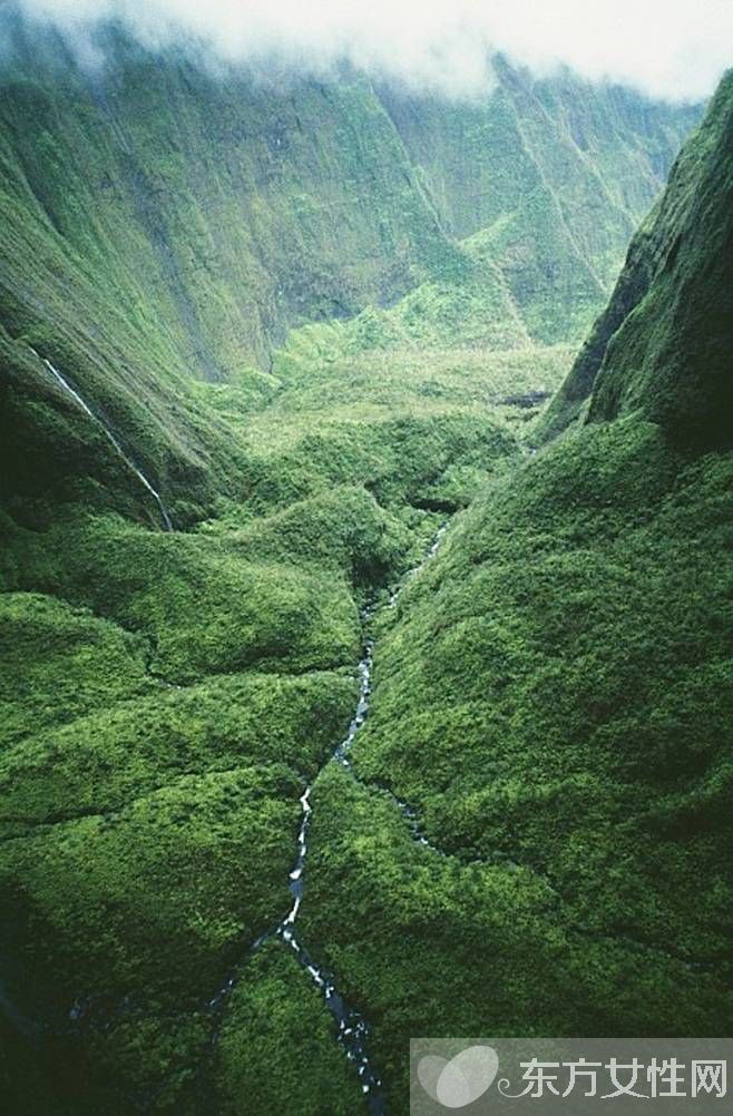 春冬換季養(yǎng)生 必吃的五款營養(yǎng)食譜