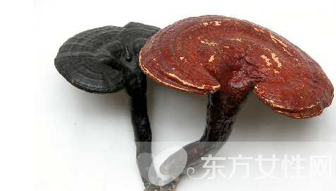 高脂血癥的危害有哪些 高脂血癥的六大飲食