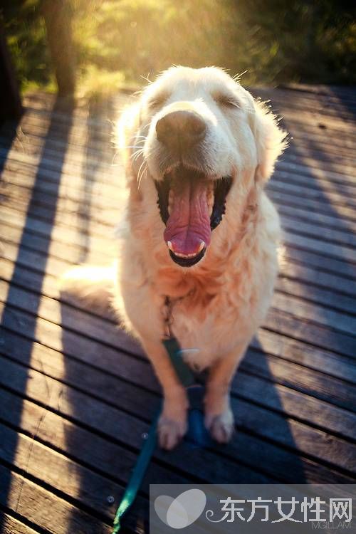 偏癱患者飲食要注意哪些 該怎么預(yù)防及預(yù)后