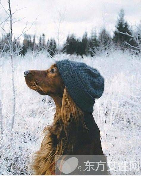 偏癱患者飲食要注意哪些 該怎么預(yù)防及預(yù)后