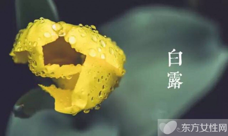 白露養(yǎng)生保健指南 衣食住行這些要注意