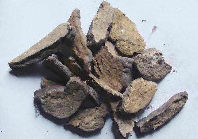 何首烏的功效與作用 它有哪些副作用