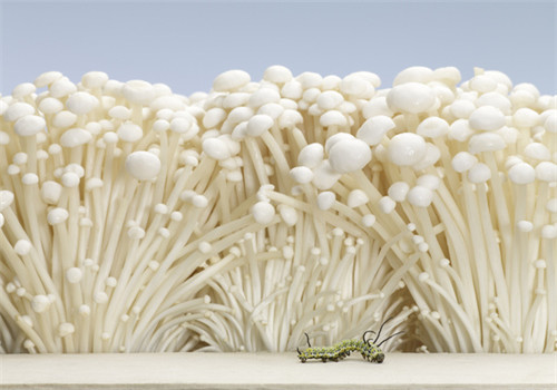 吃什么東西可以養(yǎng)胃 這些養(yǎng)胃小妙招千萬別錯過