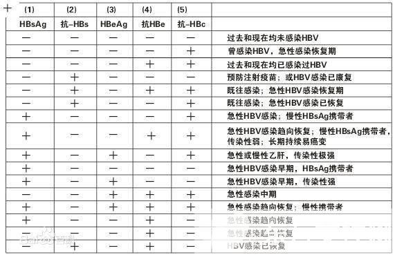乙肝兩對半是什么 乙肝兩對半對照表
