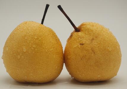 平常發(fā)燒吃什么好得快 這些水果幫你驅(qū)趕病魔