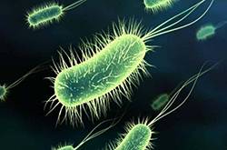 結核性腦膜炎會傳染嗎 腦膜炎的傳染途徑