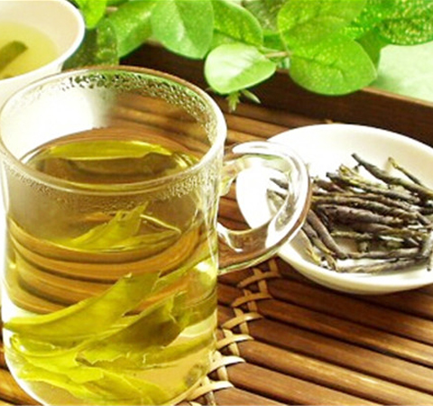 苦丁茶的作用與功效 這五類人要忌喝苦丁茶