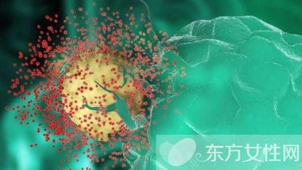 誘發(fā)病毒性皰疹的原因有哪些 皰疹病毒會傳染嗎