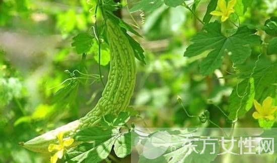 漲姿勢 這些食物居然能幫你清熱解毒