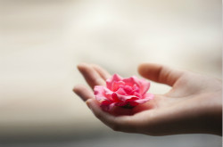 外陰發(fā)炎的原因 外陰炎的護(hù)理和預(yù)防方法