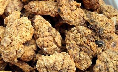 紫河車的功效與作用是什么 紫河車有什么好處