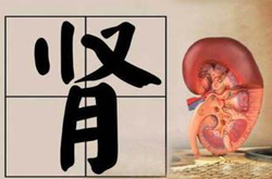 腎虛癥狀多種多樣 四招教你給腎臟排毒