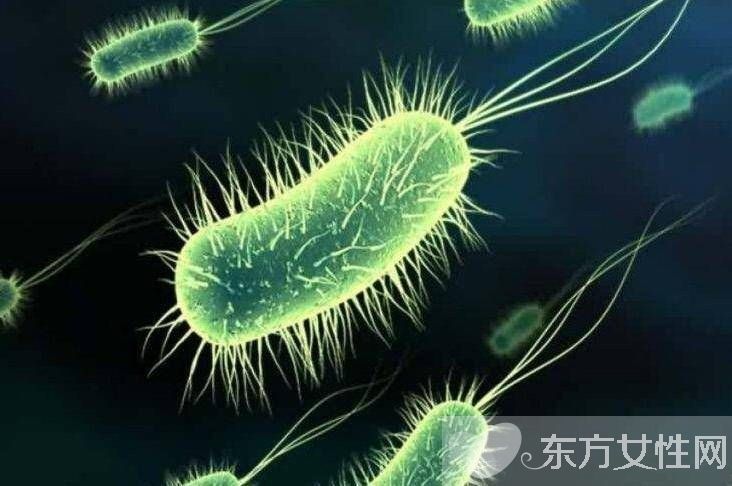 結核性腦膜炎會傳染嗎 腦膜炎的傳染途徑