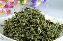 三高朋友的 選擇  揭羅布麻茶的作用