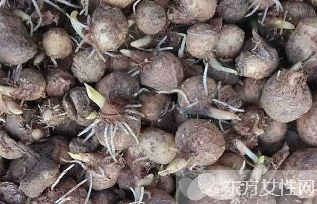 牛皮癬偏方大全 快get好