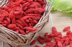 枸杞泡茶的功效及作用是什么 對身體有哪些好處