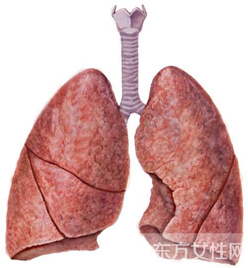 肺氣腫會(huì)傳染嗎 治療肺氣腫的食療偏方推薦