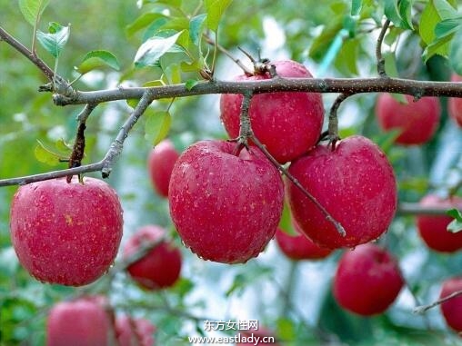 細數(shù)含糖量低的水果 它們都有什么豐富的營養(yǎng)價值