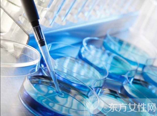 腎炎的早期癥狀有哪些 這些食療偏方很管用哦