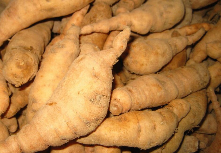 日常五種降血糖的中藥飲食 你知道嗎