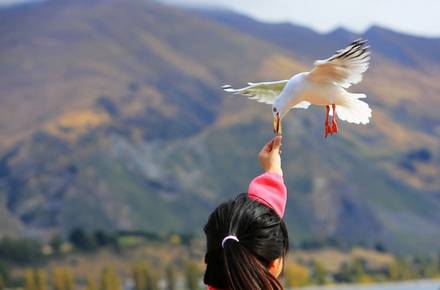 中醫(yī)治療肝病的方法 肝病潛行危害大