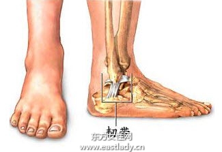 韌帶損傷應(yīng)該注意哪些飲食 四個(gè)方法教你如何正確做好防護(hù)